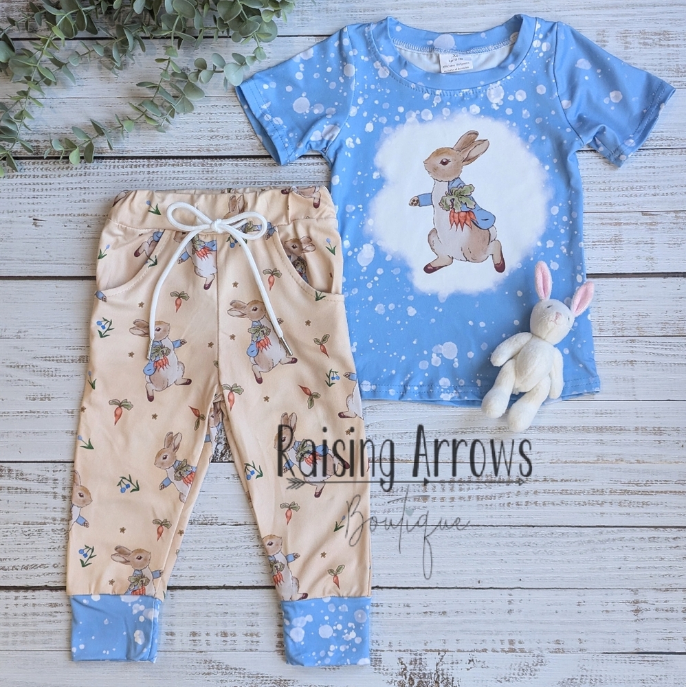 NWT Cute Peter Rabbit Top and Joggers Set